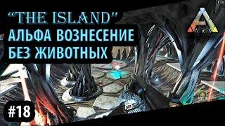 ИЗИ ПРОХОЖДЕНИЕ АЛЬФА ВОЗНЕСЕНИЯ НА ОСТРОВЕ БЕЗ ЖИВКИ - Ark: Survival Evolved