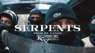 [FREE] French Trap Type Beat X Melodic Drill Type Beat - "SERPENTS" | Trap Instrumental 2025