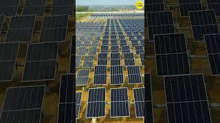 Bifacial Solar Panels With Trackers | Dual-Axis Solar Tracker VS Ground Mount