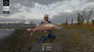 Fishing Planet | ЛОВЛЯ УНИКАЛЬНОЙ ЧАВЫЧИ НА СПИННИНГ | Калифорния: Каник - Крик