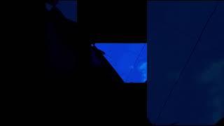 shot#reel #video #malina