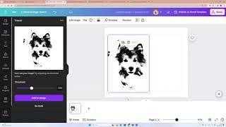 New Canva feature- Tracer ! Canva tutorial