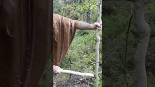When The Gods Speak…You Listen! #bushcraft #survival #donnydust #thegods #primitivetechnology