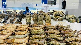 Water Front Dubai Fish Market | Largest Fish Market In UAE | The mind breezer