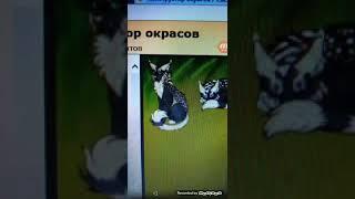 Мой план по движухе в catwar(обязательно чит опис знаю  немножко страшно)