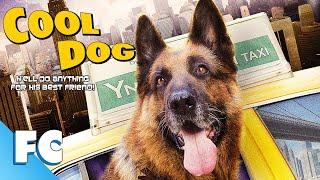 Cool Dog | Full Family Adventure Comedy Movie | Family Central