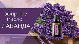 Эфирное масло Лаванда Эфирные масла doTERRA