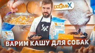 Варим кашу для собак DogmaX | Обзор и интервью | Натуральное питание для собак