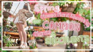 SPRING Houseplant Shopping For Common Plants & Succulents! Lets Go Houseplant Shopping!