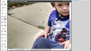 Basic Training for Photoshop Elements 2024, Part 5 of 8