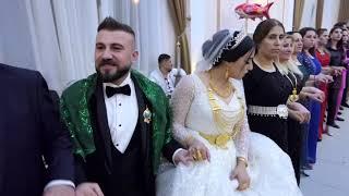 HALİME & ZEYNİ MAMXURAN & JİRKİ AŞİRETİ DÜĞÜN SEGAVİ ŞİYAR BERWARİ