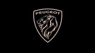 Peugeot (3 2 1 GO MEMES)