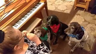 Snapper and Friends take a Piano Lesson Part1