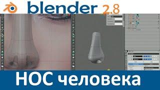 Blender 2.8. уроки. Моделирование носа. Нос человека.