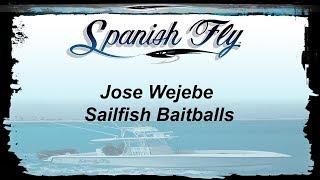 Sailfish Baitballs In Mexico - SpanishFlyTV/Jose Wejebe