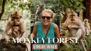 Monkey Forest Sanctuary in Ubud, Bali