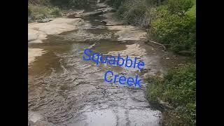 Beautiful Relaxing Sounds, Squabble Creek, Mountains Eastern Kentucky, Nature Sounds, 1bettybill