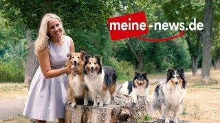 meine-news.de - Deine Heimat im Netz - Der Kinospot