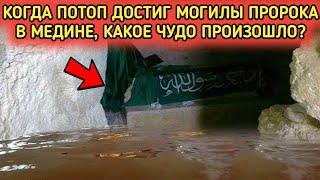Какое чудо произошло, когда наводнение достигло могилы Пророка Мухаммада (мир ему и благословение)