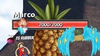 FruitBattle Grounds Using Ts Rubber To solo Marco!!