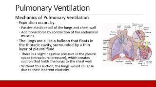 Applied Physiology for Anesthesia - 05 - PULMONARY - Part 1