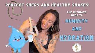 Beyond The Perfect Snake Shed: A Guide to Humidity and Hydration