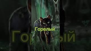 коты-воители эдит троиц #warriorcats #warriors #котывоители #коты #эдит #заказ #кв