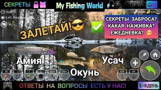 My Fishing World секреты где и как поймать - Амия, Окунь, Усач обыкновенный  Часть - 19