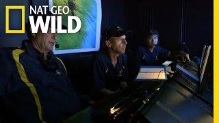 Kick-'Em-Jenny Shocks Expedition Crew | Caribbean's Deadly Underworld