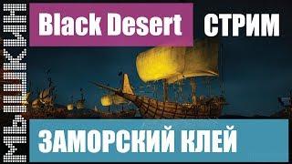  Black Desert. Заморский клей. Дальнее плавание