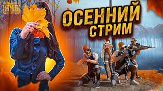 СТРИМ  PUBG MOBILE/ КАСТОМКИ/ ЛОКАЛКИ