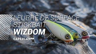 STICKBAIT | LEURRE DE SURFACE WIZDOM | CAPERLAN SW