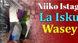 #niiko istaag la isku #wasey