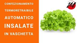 CONFEZIONATRICE TERMORETRAIBILE AUTOMATICA  -  INSALATE IN VASCHETTA