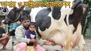 আবার ওভাইরাল কালেকশন ইতিহাস রচনা করা গাভী নিয়ে হাজির ! ৪২ কেজি দুধ দোহন চ্যালেঞ্জ দিয়ে বিক্রি।Cow tv