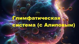 Глимфатическая система с Алиповым