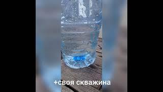 продаём дом в Алтайском крае