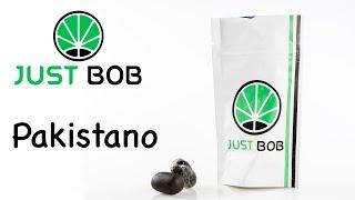 Pakistano CBD - Legal Hash - JustBob ENG