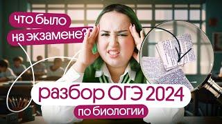 ️РАЗБОР РЕАЛЬНОГО ОГЭ 2024 | Что было на ОГЭ?