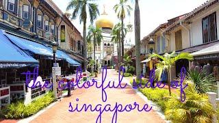 Is this really Singapore?!! | City Guide and Travel Tips