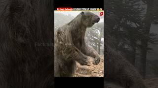 Extinct Animals जो दोबारा जिंदा हो सकते हैं  | Factcast 2.0 #shorts#youtubeshorts#shortsfeed#short