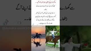 woh ghurh sawari ki shoqeen #novel