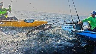 Delray Beach / Boynton Beach Sailfish | DEEP BLUE Kayak Fishing Charters