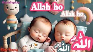 Allah Hoo Allah Hoo lori |kids cartoon Allah hoo Allah Hoo|Lullabies for kids|Allah hoo poem in Urdu