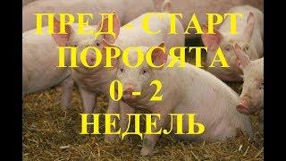 Пред Старт для поросят & Рецепт комбикорма для голубей