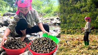 After clearing the grass to prepare the land for the new crop,my mother picked up many stream snails