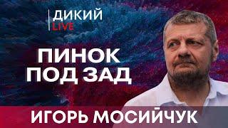 От большого ума… Игорь Мосийчук. Дикий LIVE.