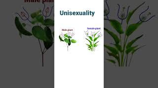 Out breeding devices | Unisexuality | Pravin Bhosale