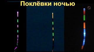 ПОЛНАЯ ВЕРСИЯ. Поклевки ночью на поплавок- светлячок, подводная съемка. Рыбалка fishing