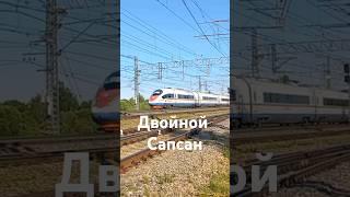 Высокоскоростной электропоезд ЭВС1 "Сапсан" Малая Вишера #железнаядорога #октжд #поезд #сапсан #rail